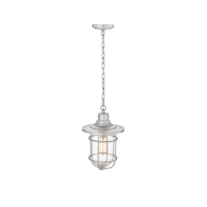 Millennium Lighting 1 Light Outdoor Hanging Lantern in Galvanized