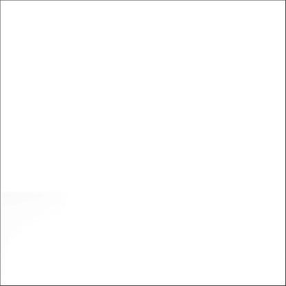 4 Pack, Clear, Wolman RainCoat Water Base Exterior Wood Sealer- Gallon