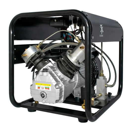 TUXING 4500Psi Pcp Air Compressor Double Cylinder High Pressure Air Compressor Auto Stop and Auto Purge for PCP Rifle Tank Gas Scuba Filling 110V TXED013