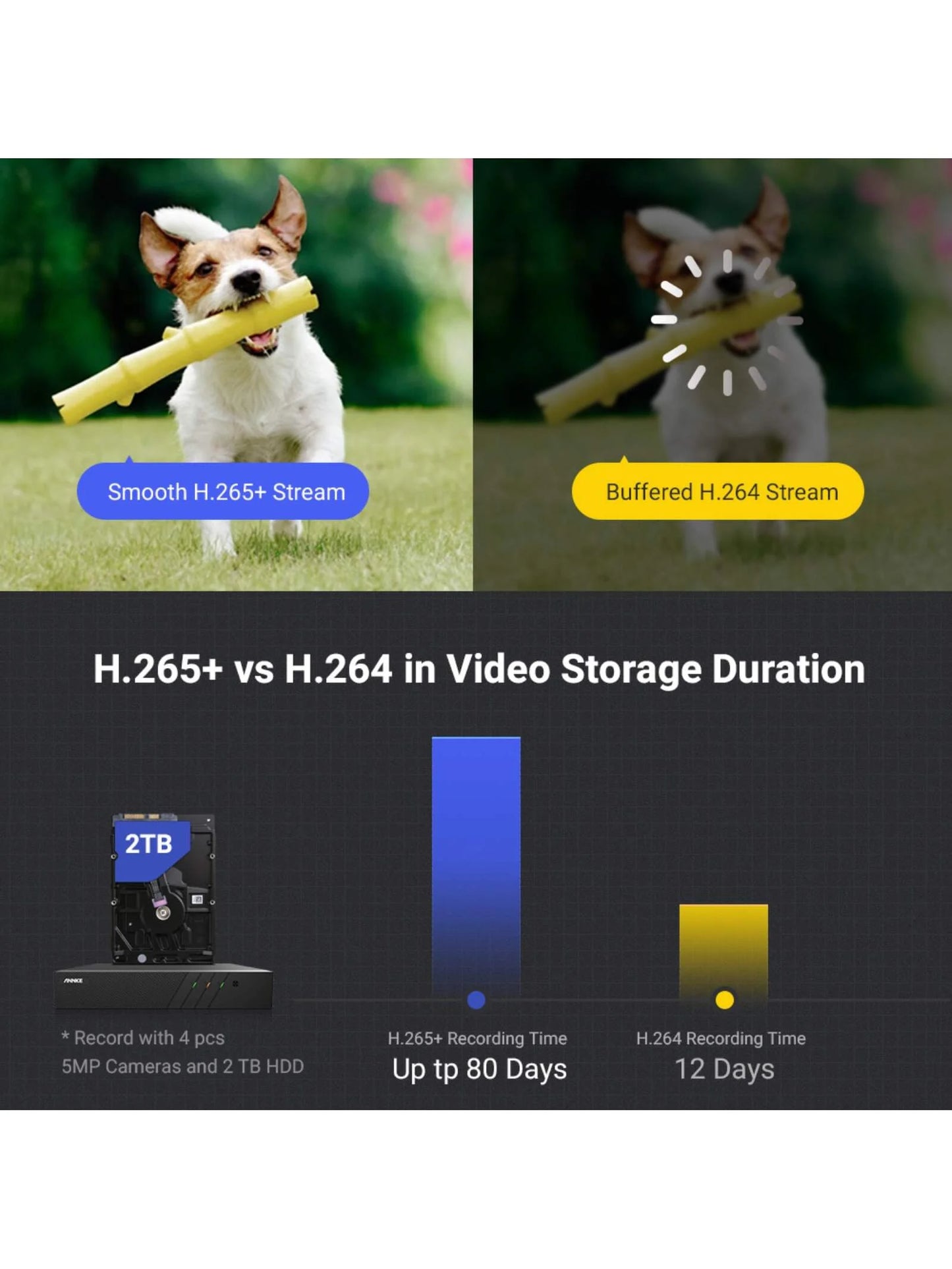 ANNKE PoE Security Camera 4K 8 Channel H.265+ NVR 5MP IP Turret Cameras with AI Vehicle Detection